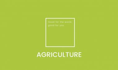 tasarım şablonu sayfa