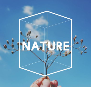 el Branche çiçekler ile tutarak