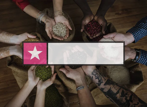 Hands holding different seeds — Stock Photo, Image