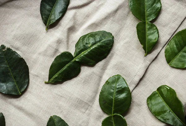 Bergamotte Blätter auf Textilien — Stockfoto