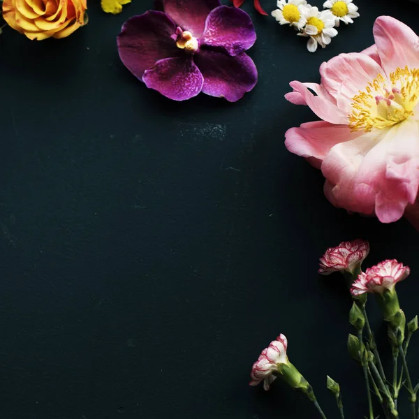 Mooie kleurrijke ummer bloemen — Stockfoto