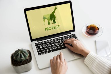 Eller dizüstü bilgisayarda çalışıyor