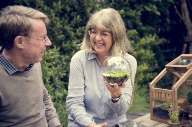 üst düzey çift dikim succulents. 