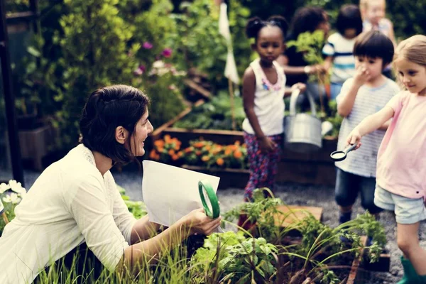 Lehrer und Kinder lernen ökologische Gartenarbeit — Stockfoto