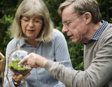 üst düzey çift dikim succulents. 