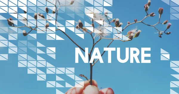 el Branche çiçekler ile tutarak