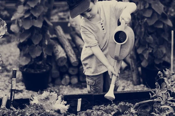 Niño en un jardín experimentando la naturaleza — Foto de Stock