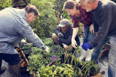 insanlar sebze dikim 