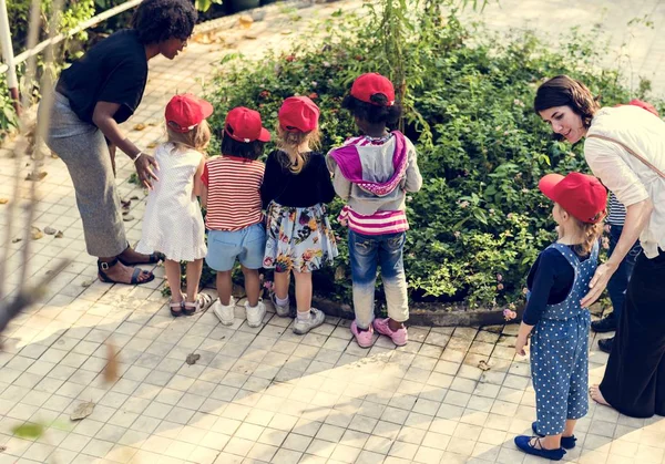 Petits étudiants apprenant la botanique — Photo