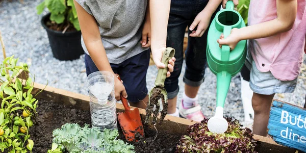 Niños trabajando en el jardín — Foto de Stock