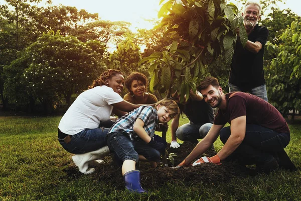 People Planting Tree Together