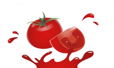 tasarım şablonu sayfa