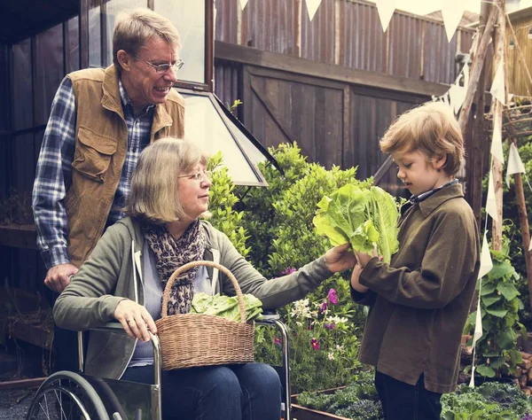 People Planting Vegetables — Stock Photo, Image