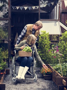 insanlar sebze dikim