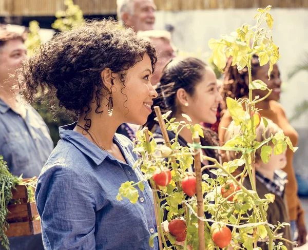 Menschen, die gemeinsam im Hinterhof gärtnern — Stockfoto