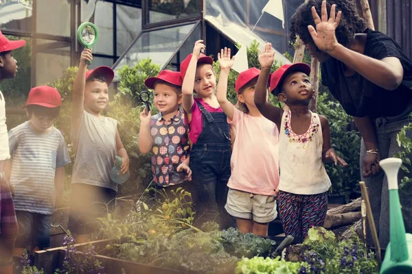 Kinder lernen auf dem Bauernhof — Stockfoto