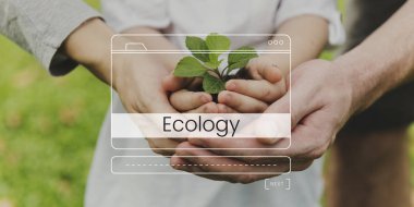 Aile ile bitki elinde