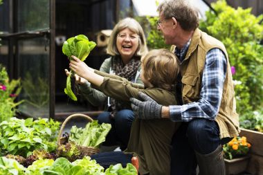 Taze sebze tutan çocuk