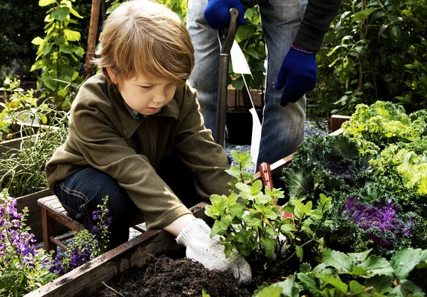 Jordbrukare med ekologisk natur produkt — Stockfoto