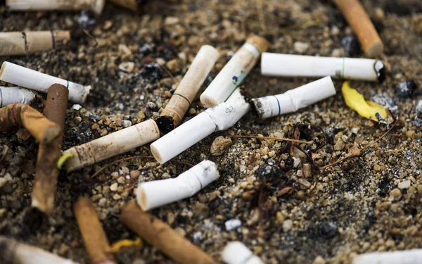 Pile of cigarettes on ground — Stock Photo, Image