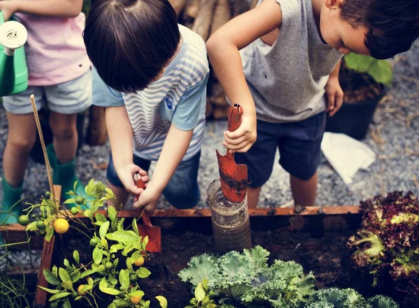 Niños trabajando en el jardín — Foto de Stock