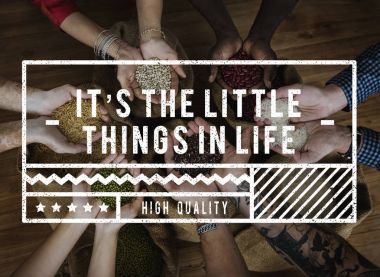 tohum çeşitleri holding eller