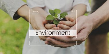 Aile ile bitki elinde