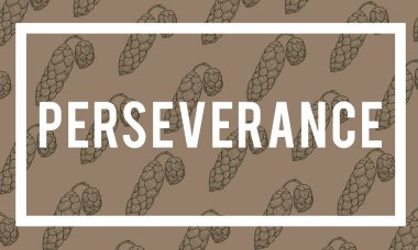 tasarım şablonu sayfa