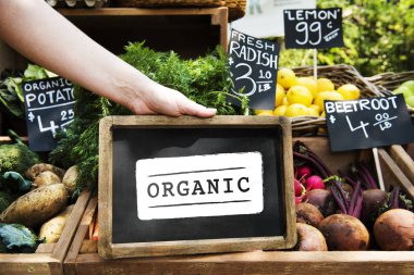 sahibi holding yönetim kurulu