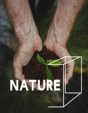 toprak yeşil bitki ile el