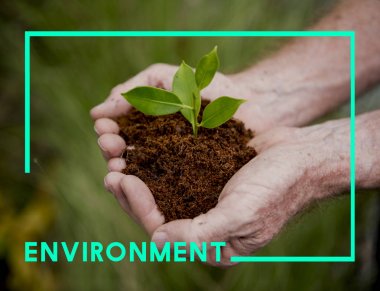 Bitki elinde tutan kişi