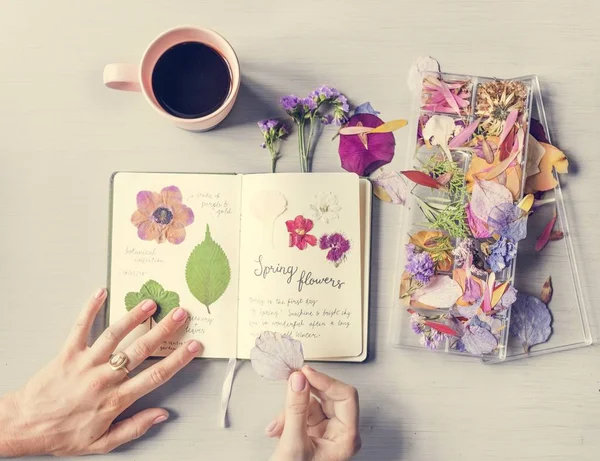 Manos que sostienen el cuaderno con flores secas — Foto de Stock