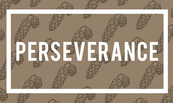 tasarım şablonu sayfa