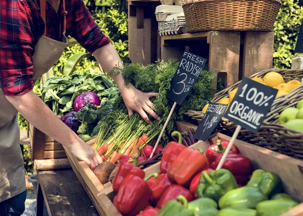 Greengrocer prepara producto agrícola fresco ecológico — Foto de Stock