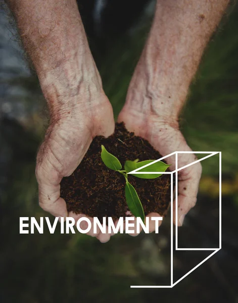 Handen met groene plant in de bodem — Stockfoto