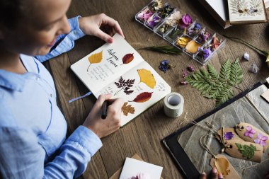 kurutulmuş tutan kadın koleksiyonu bırakır