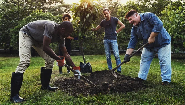 Gente cavando hoyo plantando árbol — Foto de Stock