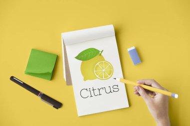 Defterde yazan kadın