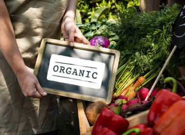 kadın holding yönetim kurulu