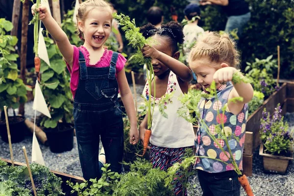 Anak-anak Memegang Sayuran — Stok Foto