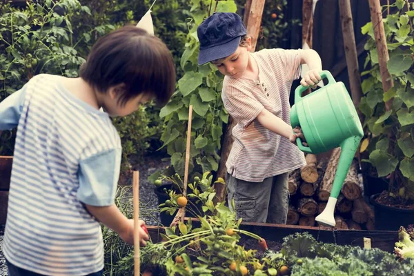 Children working in the garden — Stock Photo, Image