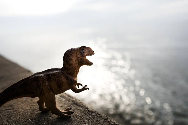 Tyrannosaurus brinquedo na praia — Fotografia de Stock