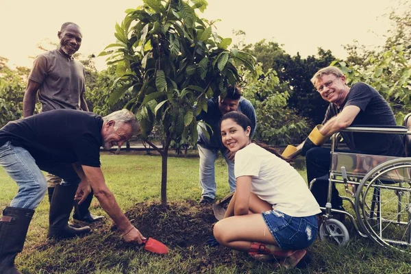 Pessoas plantando árvore juntos — Fotografia de Stock