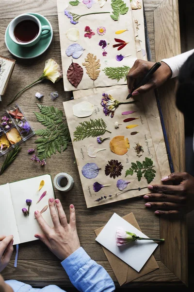 Women making dried leaves collection — Stock Photo, Image