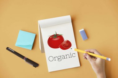 Defterde yazan kadın