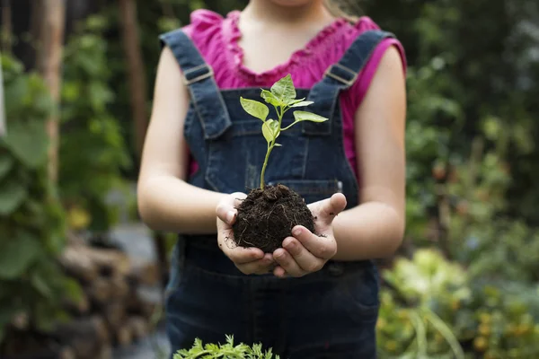 Girl Holding Tree in Hands — Stock Photo, Image