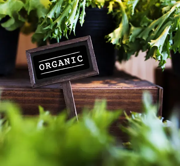 Sera Bahçe yönetim kurulu