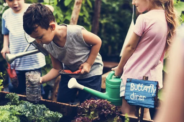 Niños regando las plantas —  Fotos de Stock