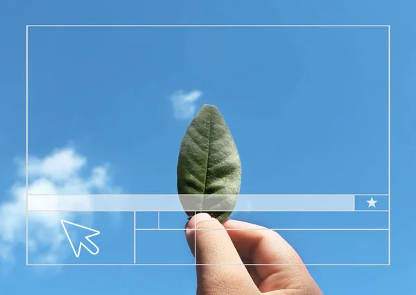 Mano sosteniendo hoja verde — Foto de Stock