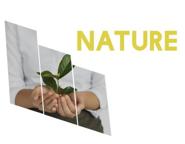 kadın holding bitki 